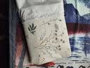 安睡宝（SOMERELLE）100%全棉床上四件套纯棉 床单款床上用品被套200*230cm1.5/1.8米 实拍图