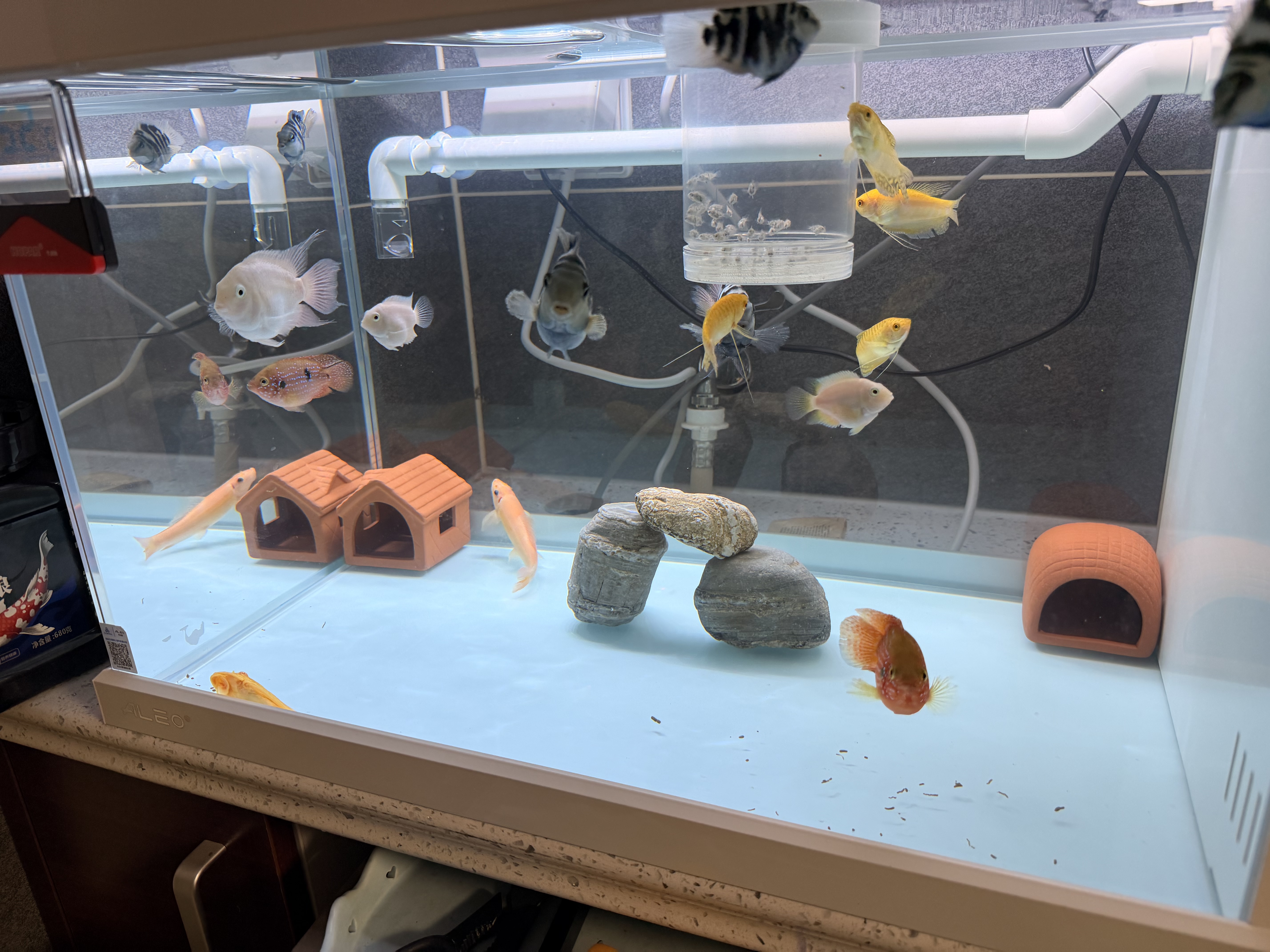 疯狂水草鱼缸造景石头鹅卵石装饰溪流石千层松皮石青龙石假山乌龟晒台摆件 千层石 约2斤 （5-8cm） 实拍图