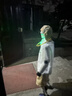 宇树（Unitree）【价保618】R1人形机器人  AI大模型 语音交互 定制改造 家庭陪伴 文娱商演 教育科研 R1蓝白色 实拍图