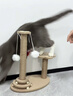 HELLOJOY猫抓板猫爬架一体耐磨不掉屑剑麻抓柱耐抓逗猫棒猫咪玩具自嗨解闷 实拍图