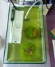 森森鱼缸过滤器三合一内置小型水族箱过滤系统增氧泵XQP-1000F 15W 实拍图