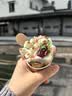 卡乐优（Coloyou）超轻粘土无毒轻质黏土橡皮泥彩泥黏土美术手工DIY纸盒装玩具女孩 实拍图