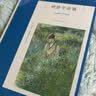 阿加莎·克里斯蒂作品31:鸽群中的猫(平装) 小说 波洛系列 午夜文库 大师系列 悬疑推理 新学期里的事件 实拍图