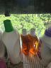 滴露（Dettol）消毒液洗衣衣物消毒水750mL 除螨杀菌混洗无忧 家居地板消毒 非84 实拍图