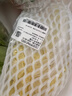 三宝白菜约650g(大娃娃菜) 实拍图