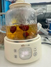 小熊（Bear）【价保618】全玻璃养生壶 纯玻璃煮茶壶恒温壶 多功能炖煮花茶壶烧水壶 1.5L YSH-H15L2 实拍图