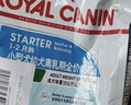 【99成新】皇家狗粮 幼犬狗粮 宠物 小型犬 MIJ31 全价犬粮 2-10月 2KG   实拍图