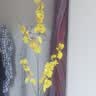 爱已装糖仿真花绿植假花花瓶插花diy花束塑料花客厅摆件装饰花跳舞兰1束 实拍图