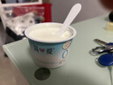 简爱X PLUS会员联名款 0%蔗糖无代糖低温酸奶135g*9杯 源头直发 实拍图