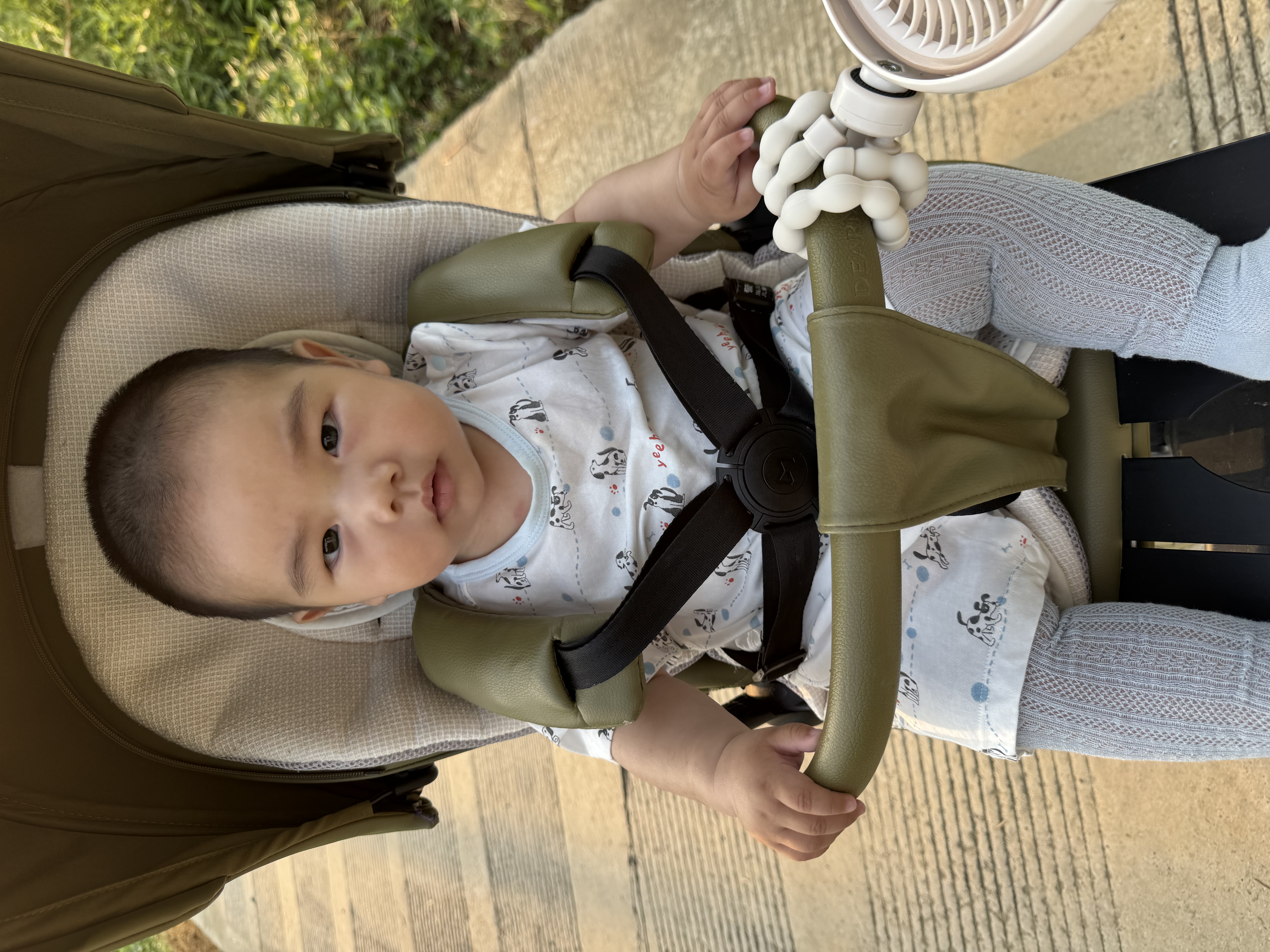 英氏（YEEHOO）【2件装】婴儿哈衣新生儿连体衣包屁衣夏季爬服纯棉宝宝短袖薄款 斑点狗短襟哈【2件装】 90cm (1-2岁-建议78-90cm 9.5-13.0kg) 实拍图