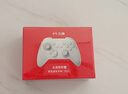 北通鲲鹏20无线游戏手柄AI智控双切扳机TMR震动蓝牙xbox类电脑PC手机steam电视NSswitch2体感深海迷航 实拍图