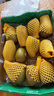 佳沛（zespri）新西兰 金果12粒特大果单果124-146g 端午节礼物水果礼盒 猕猴桃 实拍图