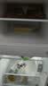 海尔（Haier）冰箱小型二门办公室迷你小冰箱节能直冷家用租房家电冷藏冷冻超薄双开门省电小型冰箱 118升、360°立体制冷、低温补偿 晒单实拍图