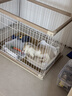 麦德氏IN犬猫高钙0乳糖绵羊奶粉300g/罐8倍乳铁蛋白幼犬猫羊奶粉狗狗 实拍图