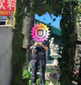 2026新款网眼长袖T恤男士运动速干圆领跑步透气排汗打底无痕CJDP 【短袖】黑色 XL 【运动款，码数建议拍大】 实拍图