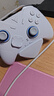 飞智冰原狼4多模版无线游戏手柄 类xbox 力调节摇杆双切扳机 switch电脑PC手机steam体感NS 仁王3 实拍图