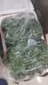 艾草新鲜食用蔬菜现摘清明草粑粑青团3斤顺丰艾叶新鲜艾草叶 【顺丰快递】 2500g 实拍图