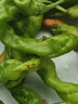 【东东买菜】新鲜薄皮肉厚香辣螺丝椒新鲜采摘青椒虎皮辣椒 新鲜福建螺丝椒净重1.8斤 实拍图