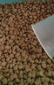 蓝枸狗粮40斤装牛肉味双拼金毛萨摩耶马犬中大型专用成犬幼犬粮 实拍图
