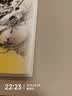 【赠镭射卡+透卡】明日方舟终末地纪念插画集 Vol.1 鹰角网络著 明日方舟终末地官方画集第一弹 实拍图