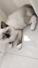 LEGENDSANDY蓝氏 全价猫粮成猫幼猫生骨肉冻干粮 猎鸟乳鸽系列兔肉口味1.5kg 实拍图