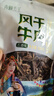 青藏公主风干牦牛肉干特产9成干风干牛肉干500g四川西青海藏式手撕牛肉干 风干牛肉五香味500g 实拍图