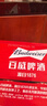 百威啤酒mini红罐淡色拉格255ml*24小罐整箱装京东自营喜酒端午送礼 实拍图