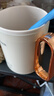 乐扣乐扣 养生杯烧水杯 迷你养生壶牛奶神器热奶杯电煮杯电炖杯电热水杯旅行加热水杯户外电热水杯 0.35L -陶瓷覆层EJC3725IVY 实拍图
