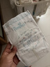 帮宝适类胎脂新一级帮纸尿裤L33夏季超薄新生儿婴儿尿不湿尿裤 实拍图