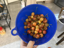 颜曼箐黄蜜樱桃车厘子 【JD/顺丰-送货上门】山东/大连大樱桃黄水晶 3斤(净重) A+级 品质果 实拍图