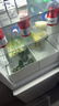 农夫山泉【新口味】东方树叶陈皮白茶500ml*15瓶无糖茶饮料0糖0脂0卡 实拍图