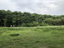 飞科博锐电动剃须刀男士刮胡刀剃胡子刀【父亲节礼物】全身水洗快充车载刨剃生日礼物送男友博锐PS166 实拍图
