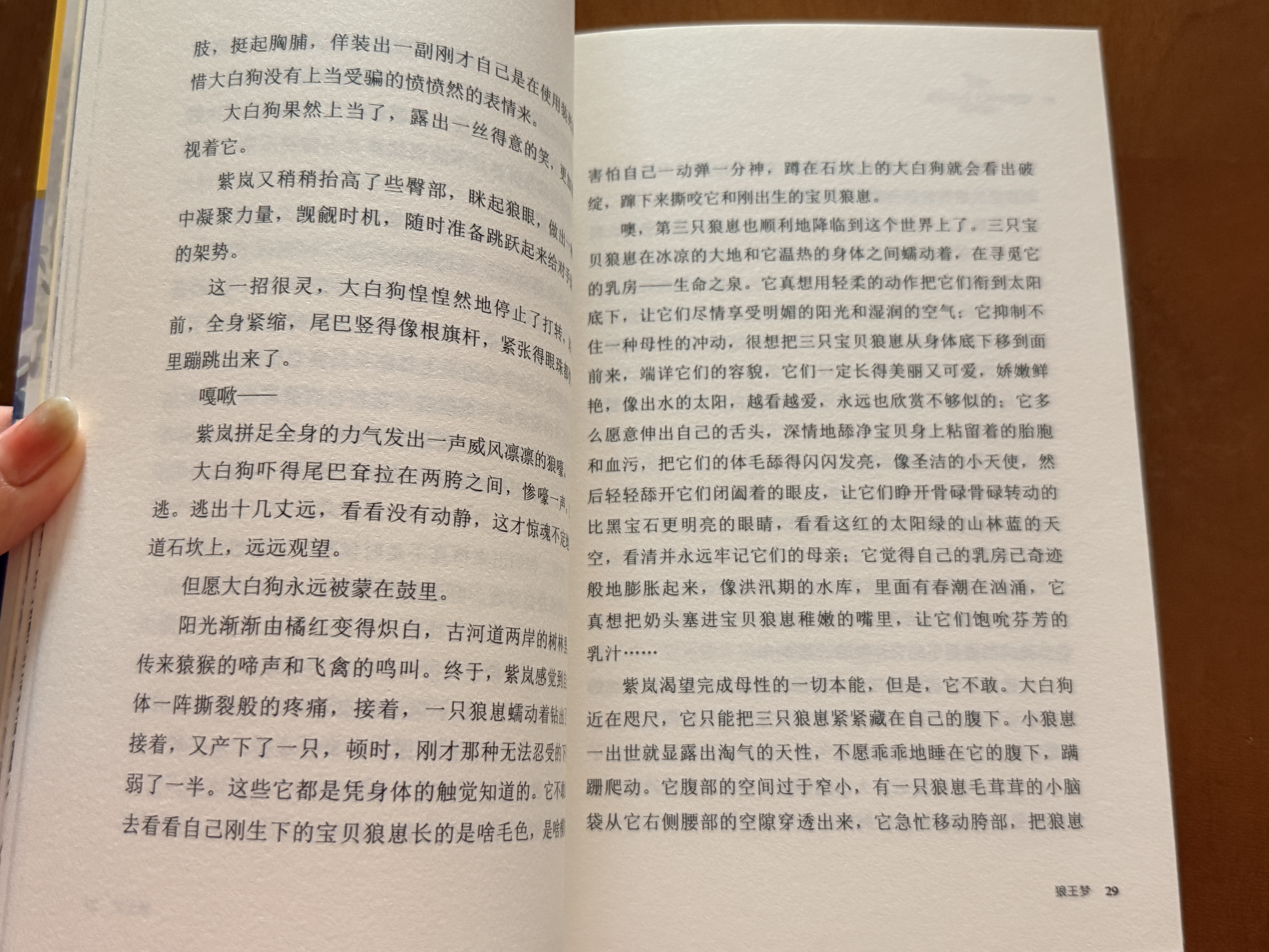 狼王梦 新版 动物小说大王沈石溪 儿童文学读物 四五六年级小学生  课外儿童文学读物 课外阅读  课外书寒假暑假作业 一升二暑假衔接 小升初暑假衔接 暑期阅读 实拍图