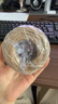 优质麻绳绳子DIY手工装饰粗细麻绳绳子捆绑绳吊牌照片晾衣绳网格装饰网麻绳粗细麻绳猫爬架 2mm*50米装/团【原色麻绳】 实拍图