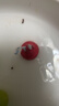 好时 Kisses浓醇黑巧克力 500g 糖果零食 婚庆喜糖 生日礼物 送女孩 实拍图