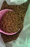 疯狂小狗狗粮 中大型幼犬成犬 鸡肉燕麦呵护肠胃通用粮2kg/4斤 实拍图