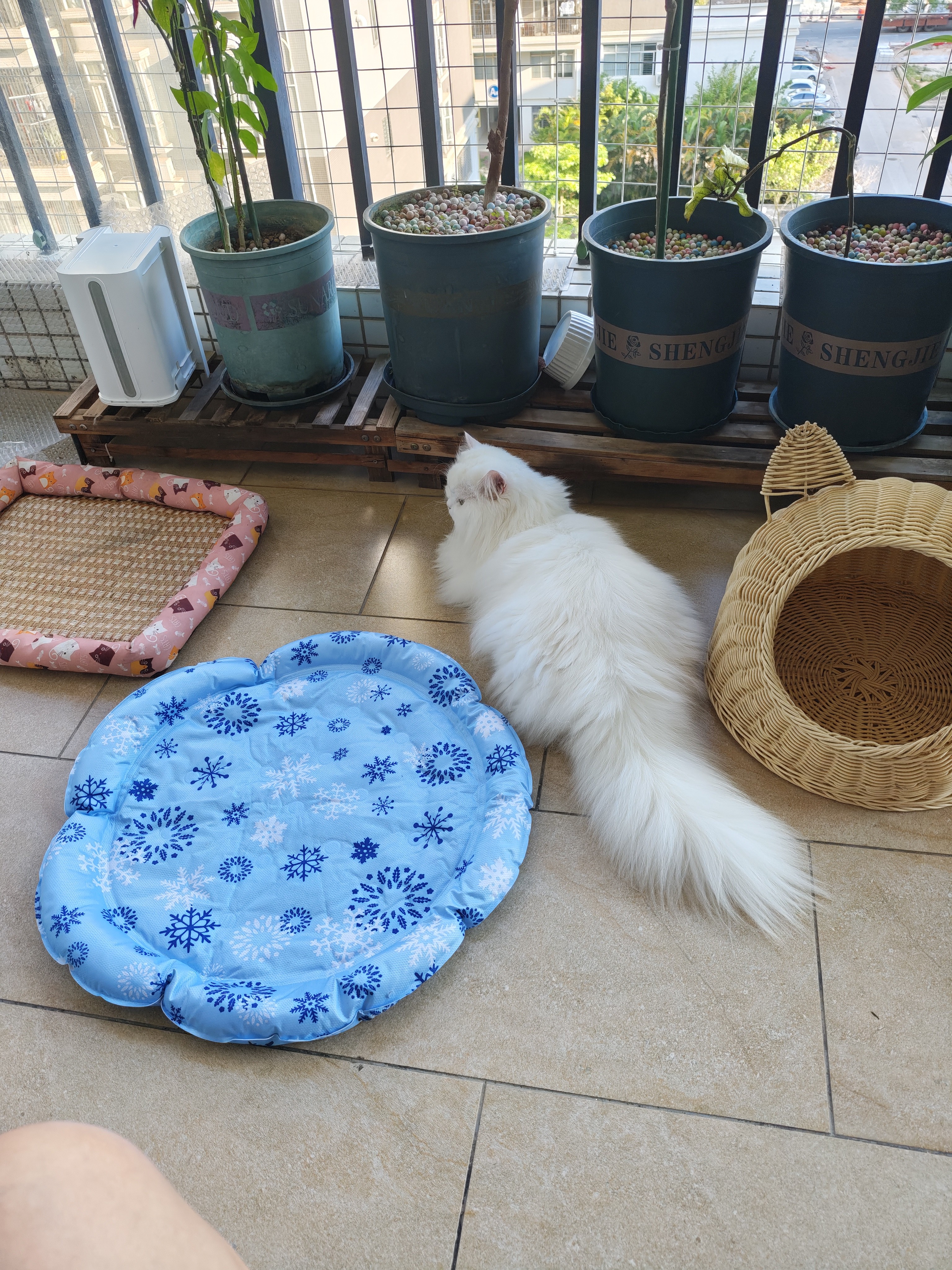 憨憨乐园宠物冰垫猫咪冰窝狗狗夏天凉席窝防水耐刮夏季降温猫窝凉垫XL号 实拍图