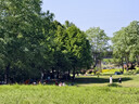 原始人 黑胶天幕帐篷户外露营网红野营遮阳棚野餐桌椅防晒八角蝶形 【速搭款】26㎡【八角奶油咖-2.6M高杆】建议2-18人 实拍图