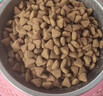 宝路狗粮 老年犬狗粮全价粮全犬种通用 牛肉味1.8kg*4 实拍图