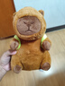 熊猫熊卡皮巴拉玩偶公仔布娃娃毛绒玩具儿童送女孩生日礼物女生睡觉抱枕 实拍图
