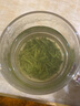 乐品乐茶明前特级毛尖绿茶2026新茶嫩芽春茶茶叶礼盒装250g端午父亲节礼物 实拍图