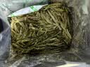 贡苑绿茶2026新茶 正宗龙井茶250g 浙江明前春茶嫩芽茶叶自己喝送礼袋 实拍图