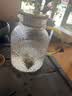 贡苑大麦茶300g特级正品原味烘焙炒麦芽颗粒荞麦回苦荞独立包装奶断奶 实拍图
