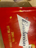 百威啤酒mini红罐淡色拉格255ml*24小罐整箱装京东自营喜酒端午送礼 实拍图