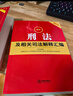 2026最新刑法及相关司法解释汇编（第五版） 实拍图