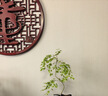 森蜂园槐花蜂蜜1000g/瓶纯正洋槐蜂蜜冲饮烘焙烧烤早餐牛奶麦片伴侣 实拍图