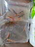 森悠（SARYOR）金苔鼠淡水鱼鱼缸清洁鱼观赏鱼热带鱼好养工具鱼吃垃圾鱼 金苔鼠鱼3条(4-6cm) 实拍图