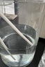 世泰 玻璃烧杯低型带刻度烧杯透明量杯加厚高硼硅耐高温实验室器材小烧杯量杯化学烧杯京仓 【100ml】 实拍图