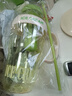 【京东物流】水杯冰霸吸管杯高颜值学生茶水分离大容量杯子 肚肚杯1个-浅绿色 实拍图