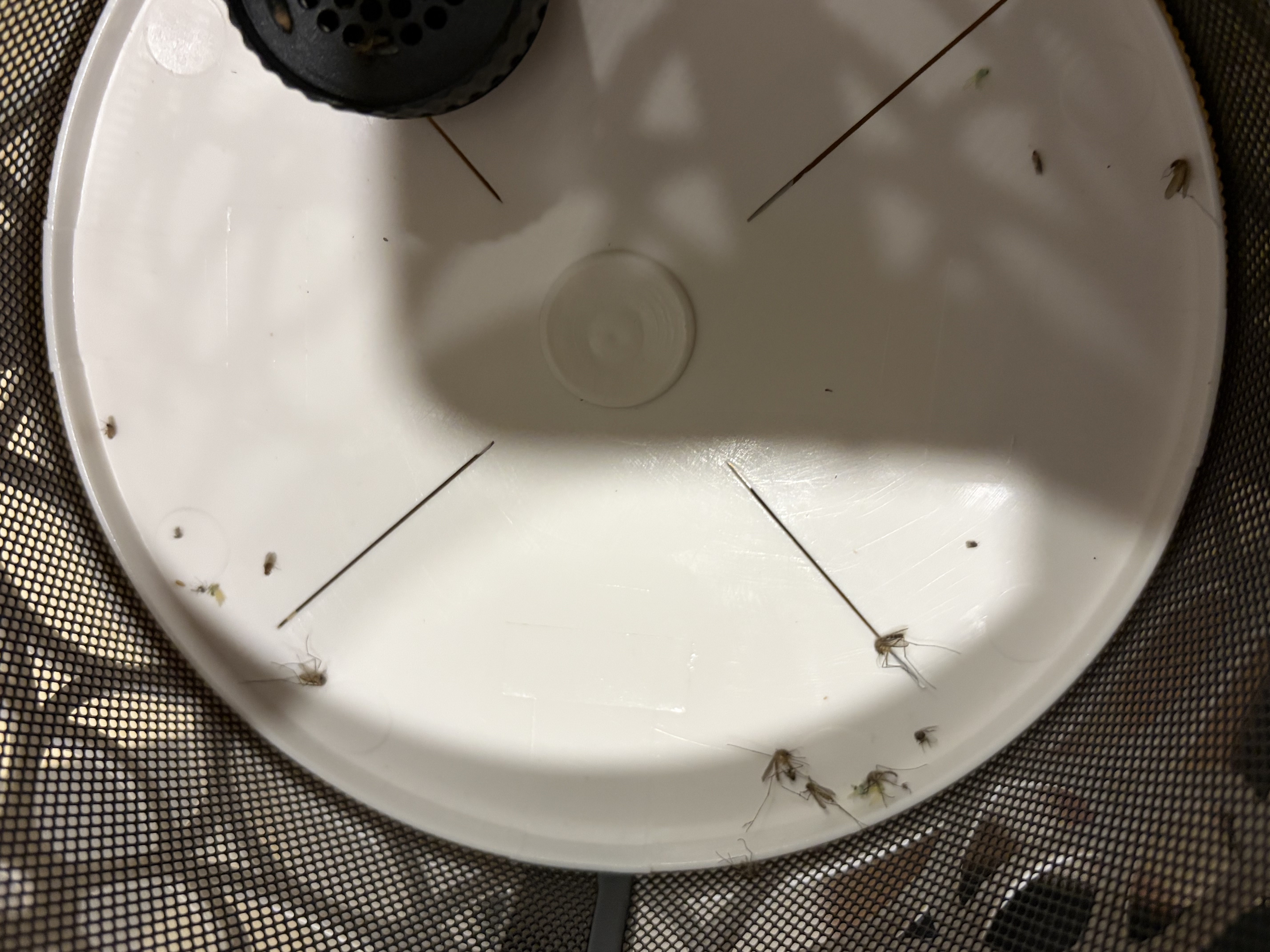 格林盈璐灭蚊灯家用室内吸入式灭蚊器驱蚊器卧室客厅防蚊子物理母婴驱蚊灯 【白色单台装】大面积诱捕 实拍图